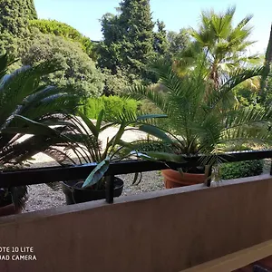 Les Palmiers Apartament